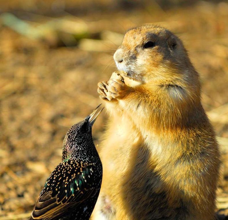 �������� ��� :: �������� �������� :: ���������� 1