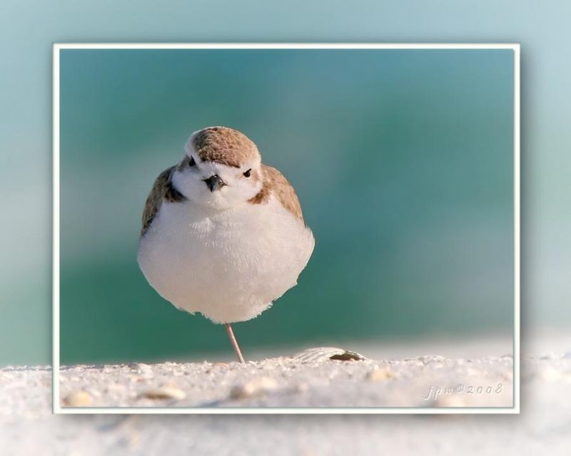 �������� ��� :: ������� ��� :: ���������� 1