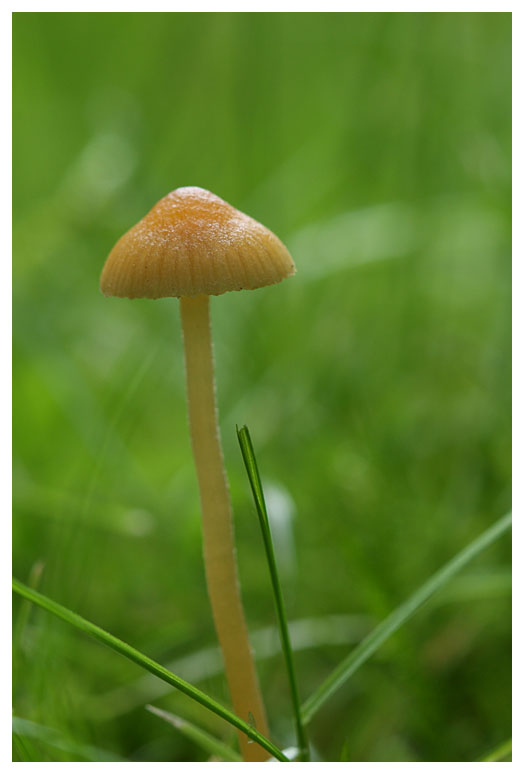 ����� :: ���������� 1