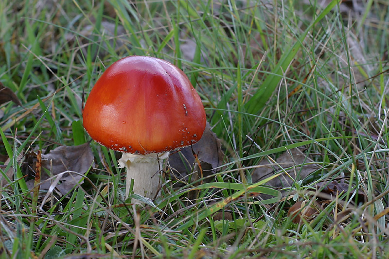 ����� :: ���������� 1