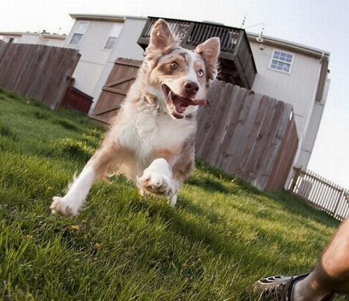 ������� �������� ���� 39