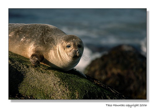 �������� ��� :: ������� ������ ���� 18
