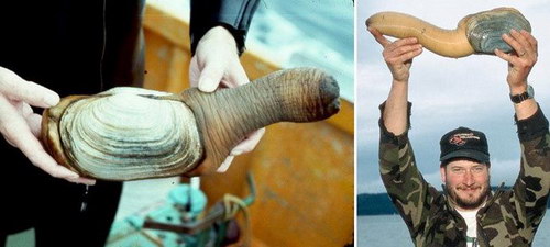 �������� ��� :: ����� ������� � ���� ������� ���� 9