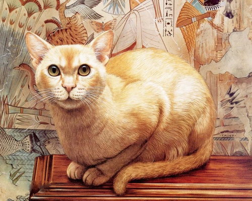 Художники :: Рисунки кошек