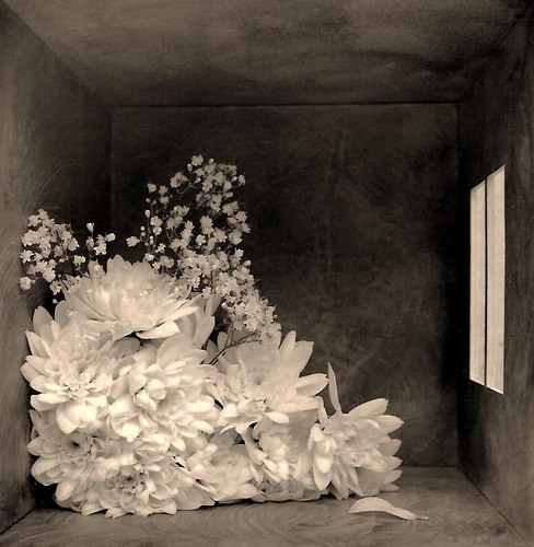 ���� :: �������� George Koutsilieris ���� 12