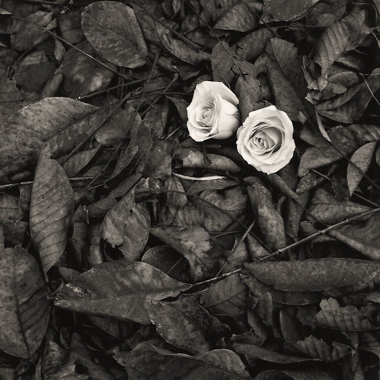���� :: �������� George Koutsilieris :: ���������� 1