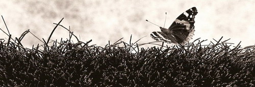 ���� :: �������� George Koutsilieris ���� 37