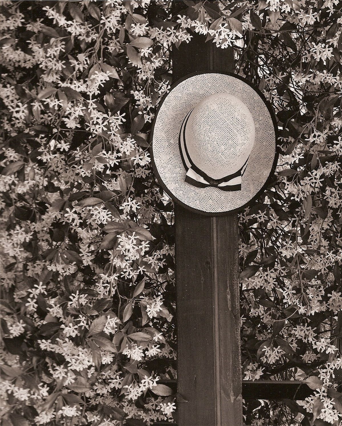 ���� :: �������� George Koutsilieris :: ���������� 1