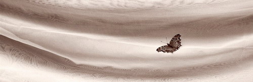 ���� :: �������� George Koutsilieris ���� 51