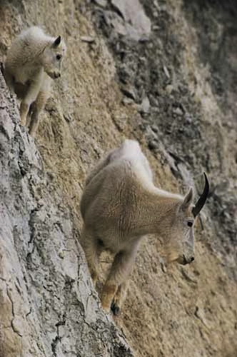 ������ ����� - ������ ��������� ���� 2