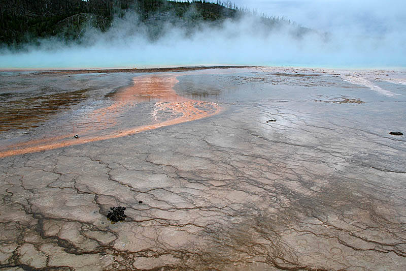 ������� :: ����� Grand Prismatic :: ���������� 1