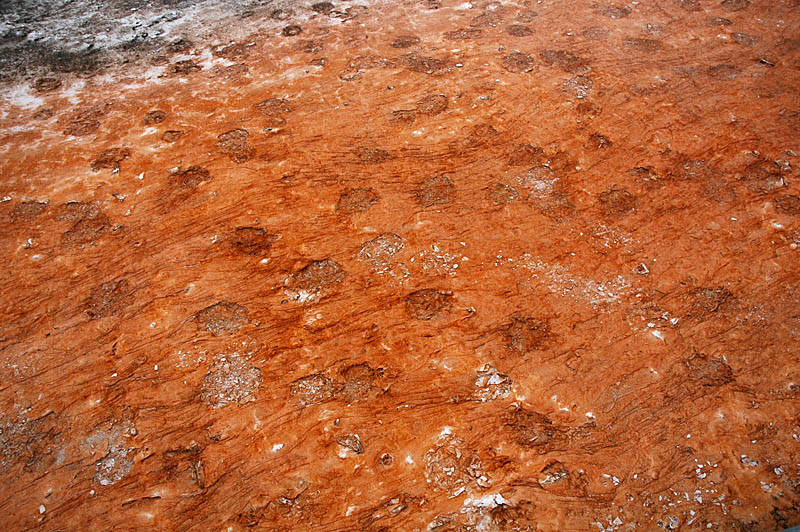 ������� :: ����� Grand Prismatic :: ���������� 1