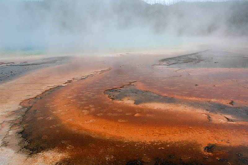 ������� :: ����� Grand Prismatic :: ���������� 1