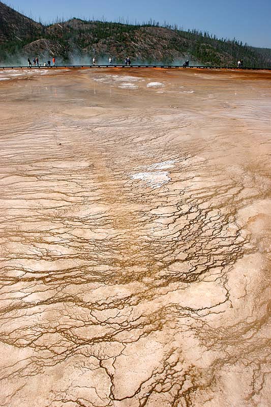������� :: ����� Grand Prismatic :: ���������� 1