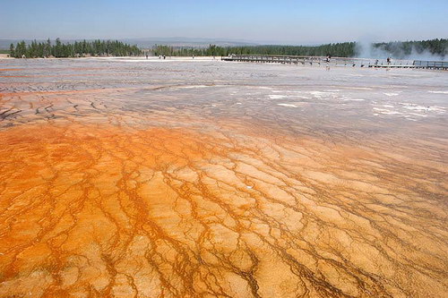 ������� :: ����� Grand Prismatic ���� 28