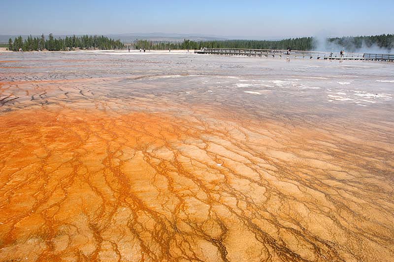 ������� :: ����� Grand Prismatic :: ���������� 1