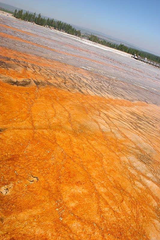 ������� :: ����� Grand Prismatic :: ���������� 1