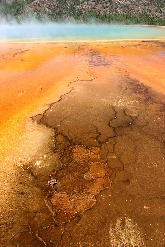 ������� :: ����� Grand Prismatic :: ���������� 1