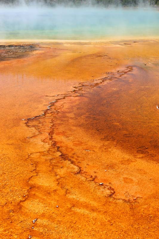 ������� :: ����� Grand Prismatic :: ���������� 1