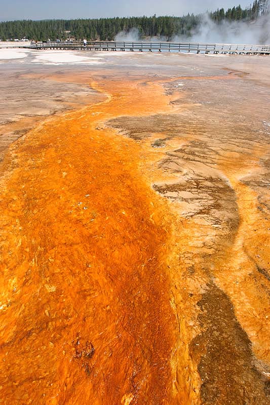 ������� :: ����� Grand Prismatic :: ���������� 1