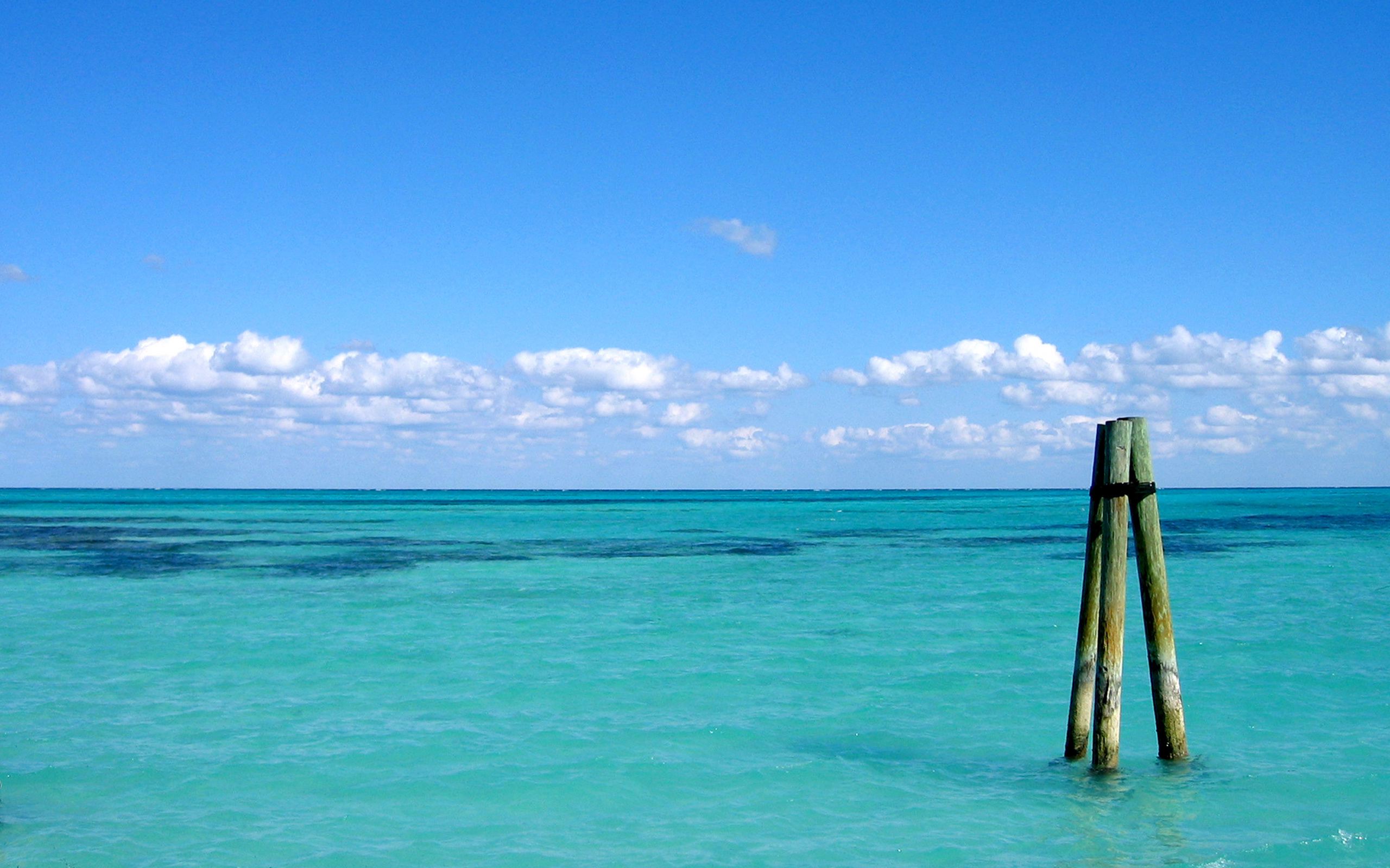 �������� ����� �������� ���������� :: ���������� 1