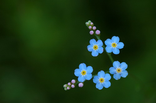 ������� ���� 47