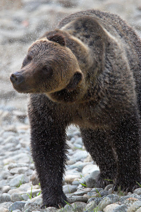 �������� ��� :: �� ����� �������� :: ���������� 1