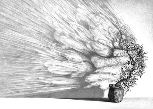 �������� ����� ������������ ���� 40