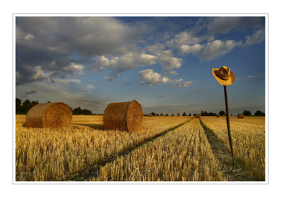����� - Hans Pollne :: ���������� 1