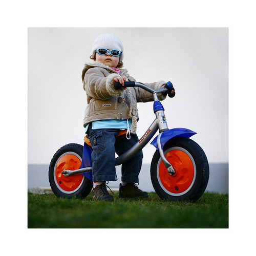 ����� - Hans Pollne ���� 40