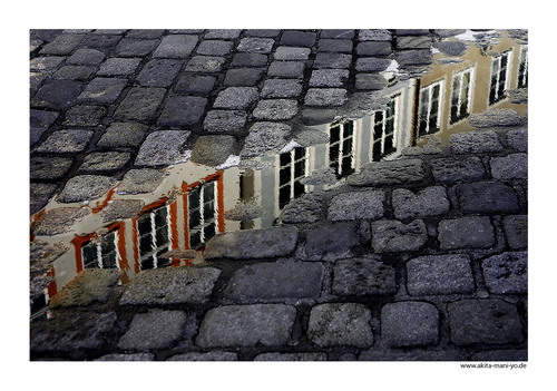 ����� - Hans Pollne ���� 41