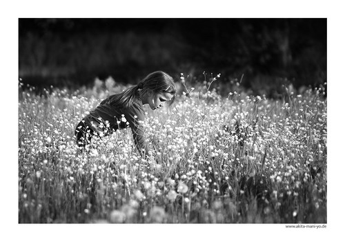 ����� - Hans Pollne ���� 48