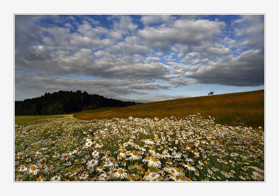 ����� - Hans Pollne :: ���������� 1