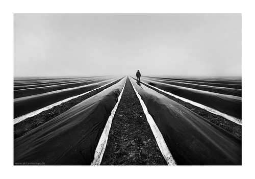 ����� - Hans Pollne ���� 88
