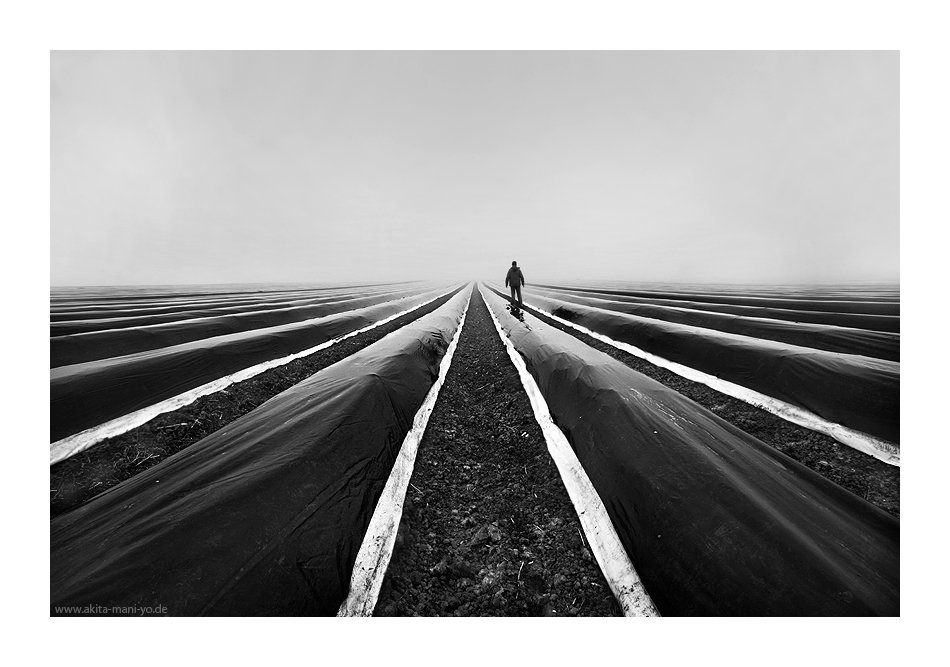 ����� - Hans Pollne :: ���������� 1