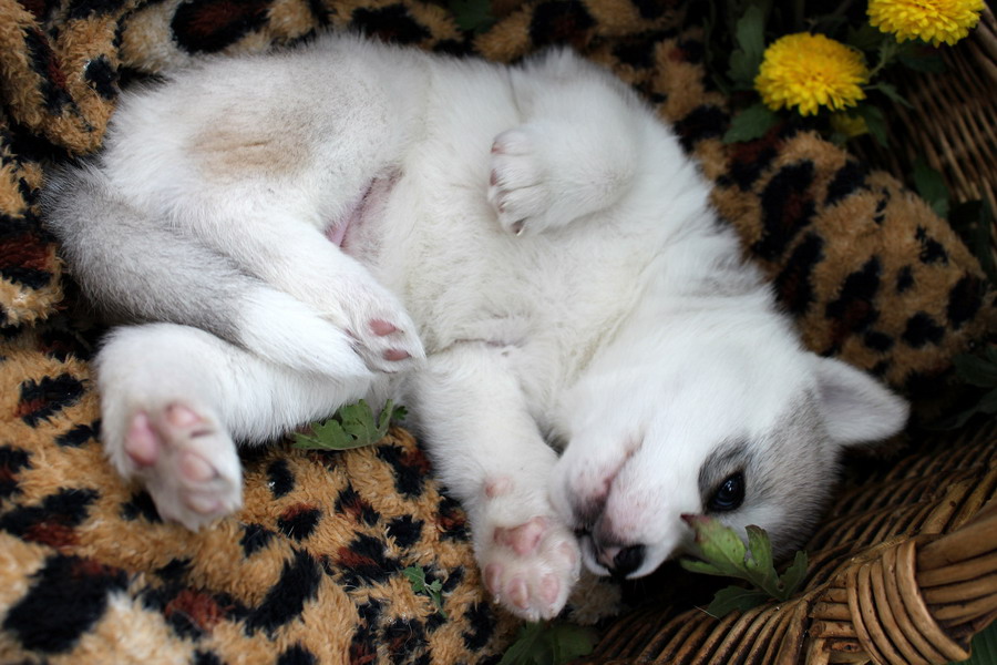 ����� ����� :: ���������� 1