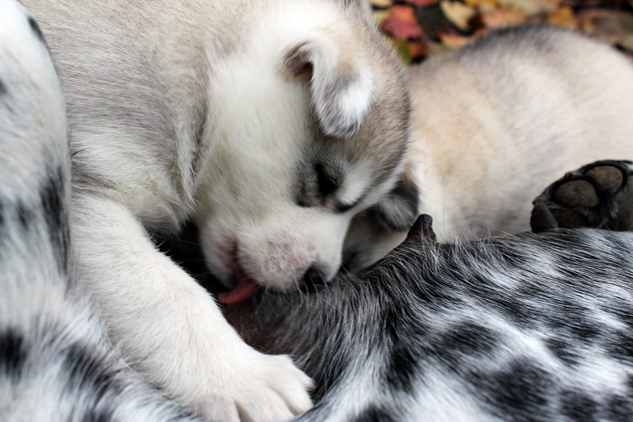 ����� ����� :: ���������� 1