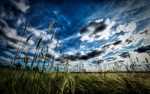 HDRI ���������� ���� 1