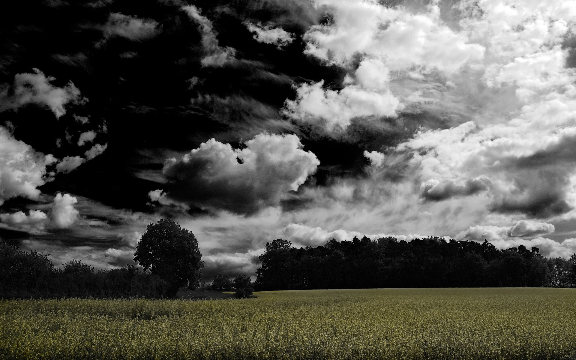 HDRI ���������� :: ���������� 2