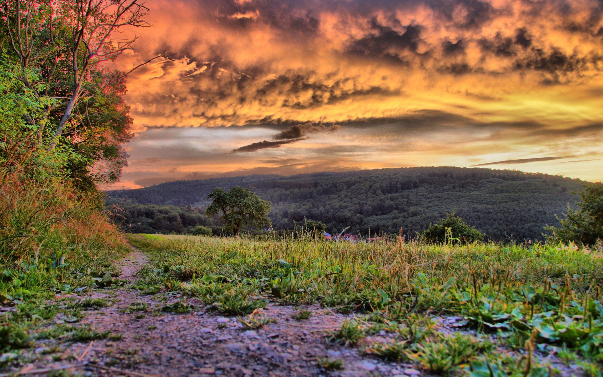 HDRI ���������� :: ���������� 2
