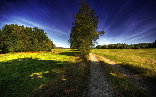 HDRI ���������� ���� 10