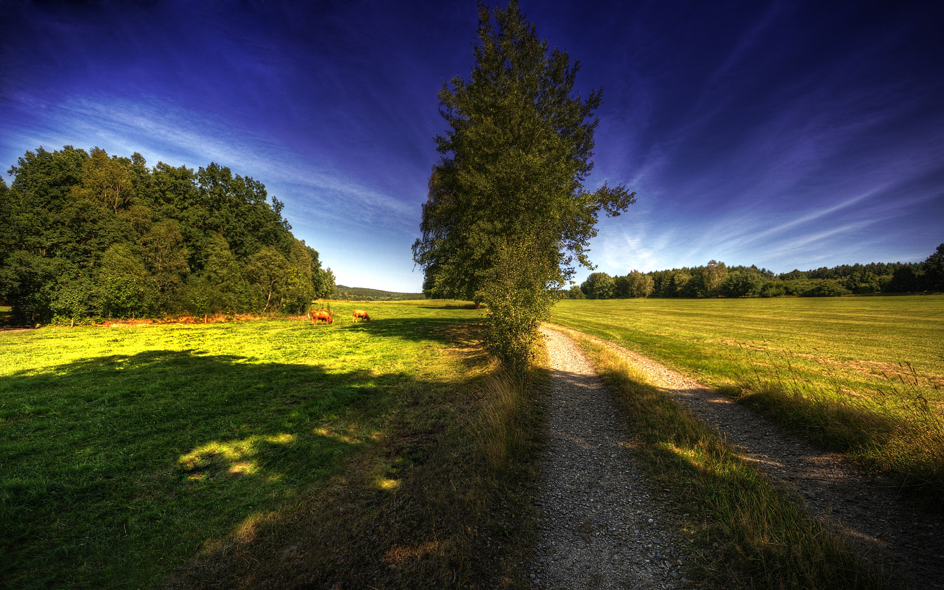 HDRI ���������� :: ���������� 2