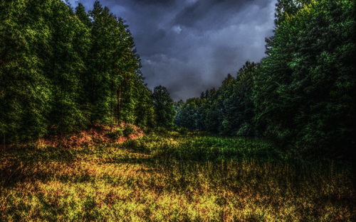 HDRI ���������� ���� 25