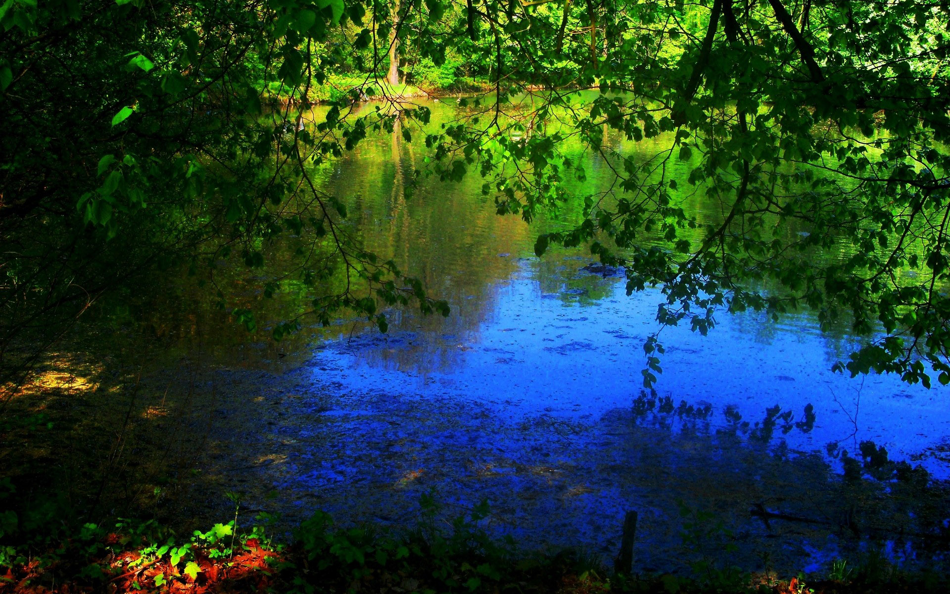 HDRI ���������� :: ���������� 2