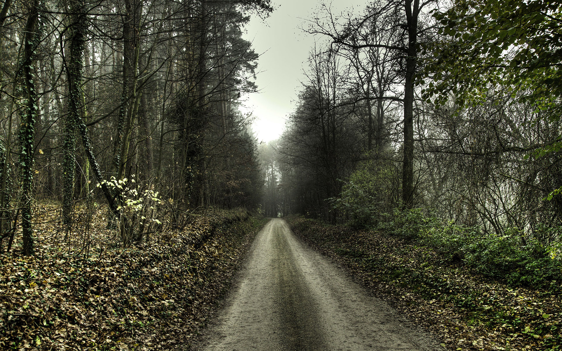 HDRI ���������� :: ���������� 2