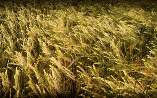 HDRI ���������� ���� 37