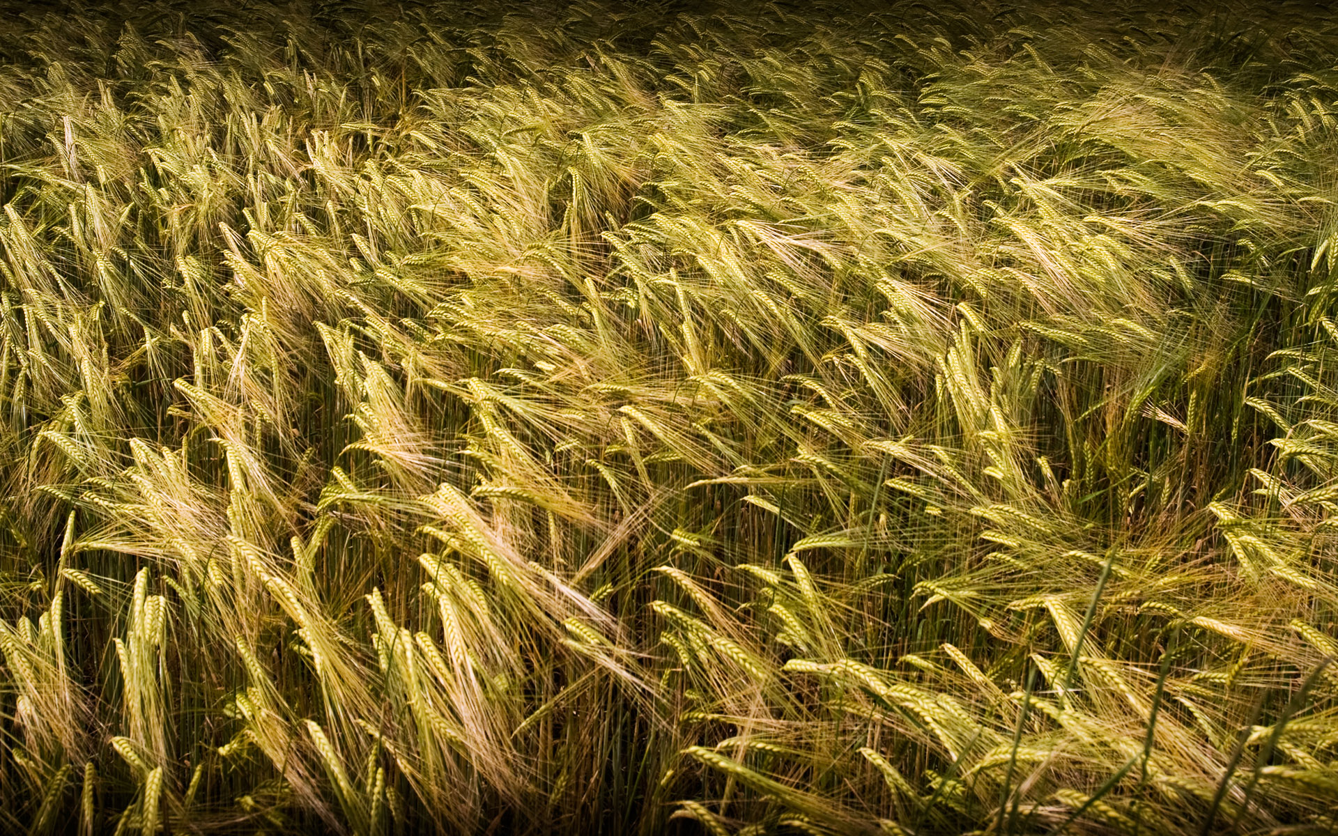 HDRI ���������� :: ���������� 2