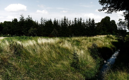 HDRI ���������� ���� 45