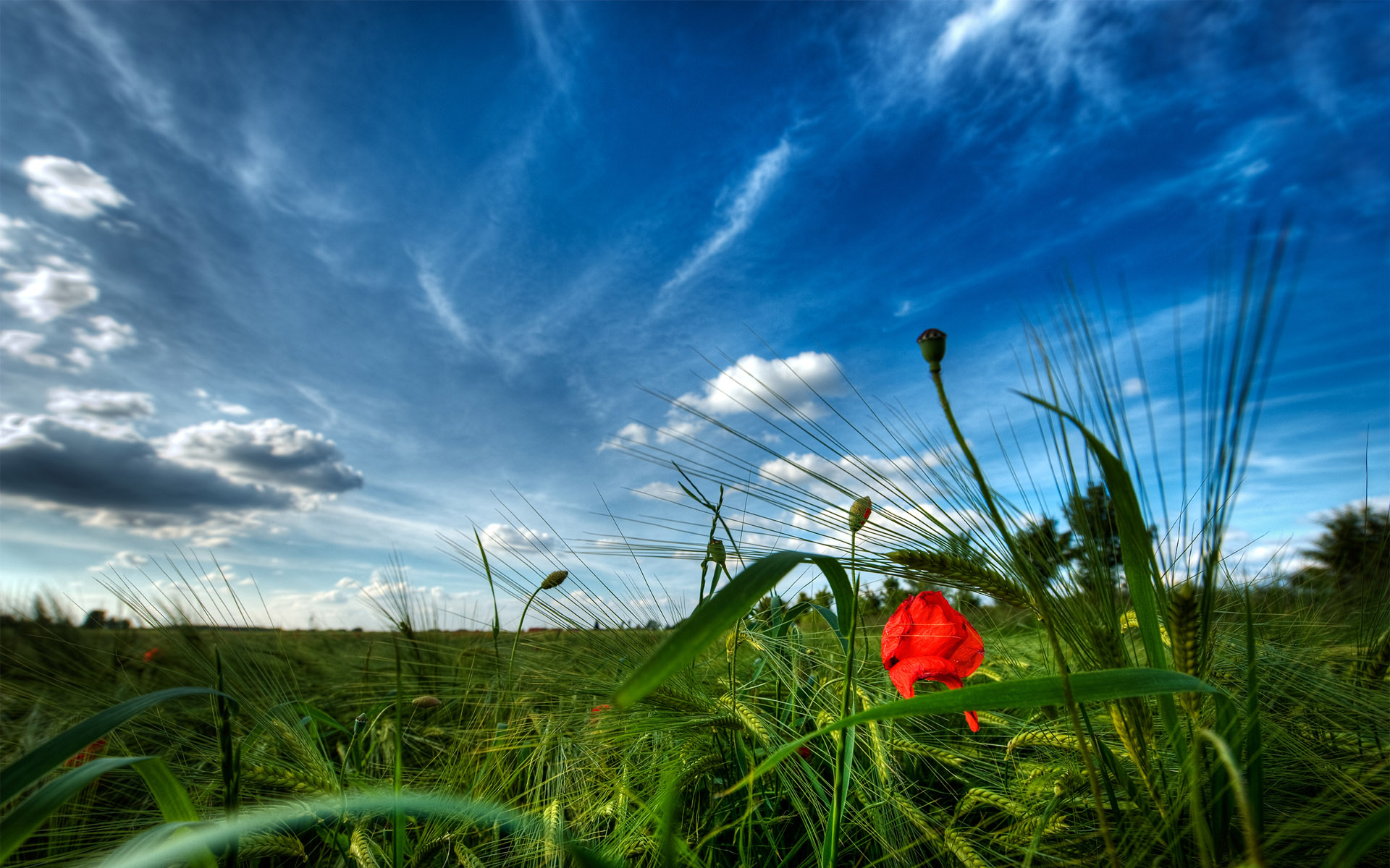 HDRI ���������� :: ���������� 2