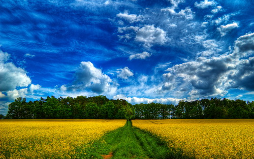 HDRI ���������� ���� 49